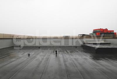 Apartament penthouse cu 3 camere | finisaje premium | 2 garaje - 8