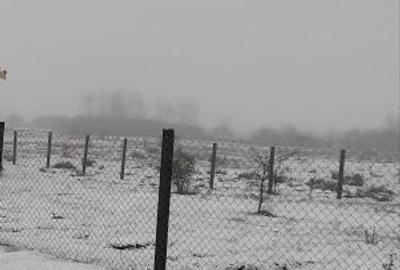 Spațiu comercial, în Bucureasa - 1