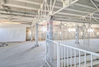 Hala beton P+E 1000 mp comercial, productie, depozitare Pipera Plaza - 6