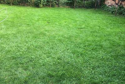 Casă cu 6 camere cu Teren 490 Mp în Vulcan - 6