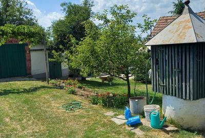 Casă cu 4 camere în Vânători - 6
