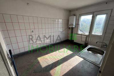 Casă individuală cu 4 camere cu Teren 1053 Mp în Aurel Vlaicu - 3