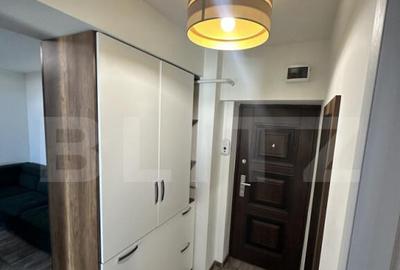 Apartament cu 2 camere decomandat în Calea Severinului - 7