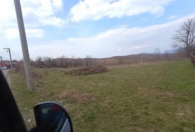 Teren de 7712 mp, în Cărbunari - 3