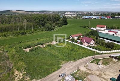 Teren Construcții intravilan de 4844 mp, în Șcheia - 4