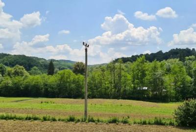 Teren de 7000 mp, în Ștubeie Tisa - 5