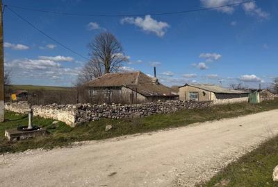 Casă cu Teren 2142 Mp în Olteni - 2