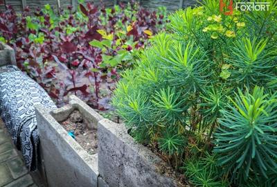 COMISION 0% OFERTA CRACIUN ! Casa individuala cu 6 camere de vanzare in Giroc - 41