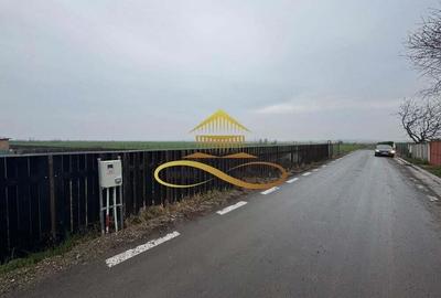 Teren de vanzare Filipesti Bacau 6838 mp - 1