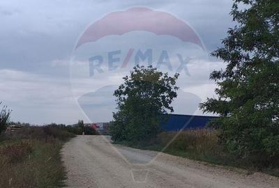 Teren agricol extravilan de 3000 mp, în Sântion - 3