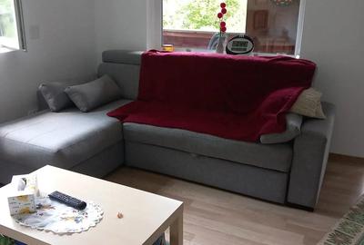 Casă cu 2 camere în Cosminele - 6