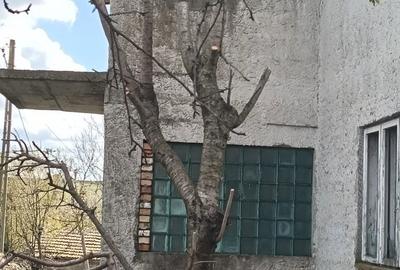 Casă cu 4 camere în Albești - 5