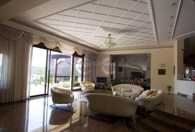 SNAGOV | VILA DE LUX CU 90M DESCHIDERE LA LAC | POZITIE EXCEPTIONALA - 26