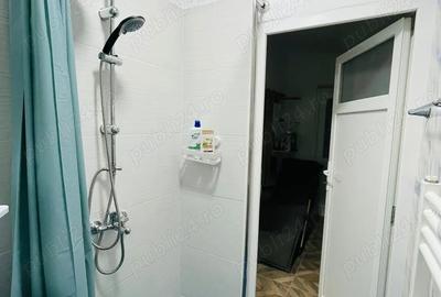 Garsoniera la curte de inchiriat - 8