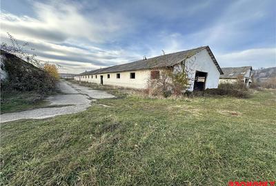 Platforma industriala 27.000mp - Racova - Buhusi - 9