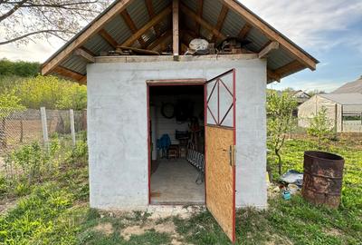 Vanzare Casa cu acces direct la padure in Valea Cucului, Comuna Iordacheanu - 10