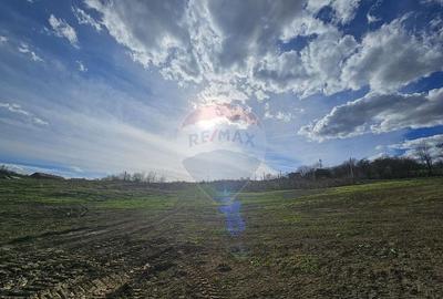 15 parcele de 1000 mp de vanzare in Breaza Prahova- toate... - 8