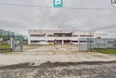 Hală de producție, cu birouri și teren, în Sebiș - 2