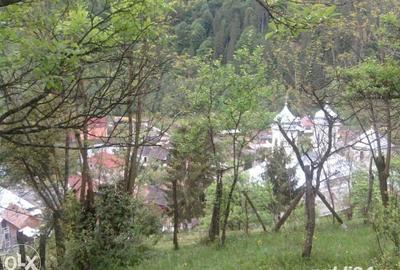 Teren de 5062 mp, în Voineasa - 8
