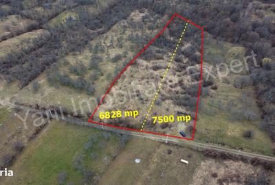 Teren de 14328 mp, în Nucșoara - 4