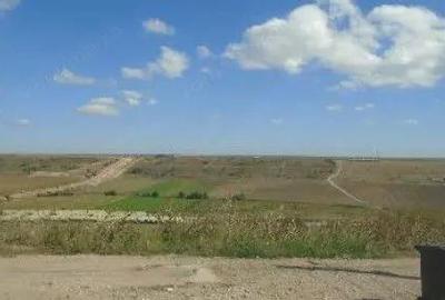 Teren extravilan cota 3/32 Smardan, ID: R2763204 - 8