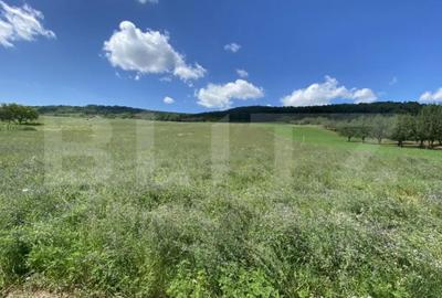 Teren de 19213 mp, în Central - 3