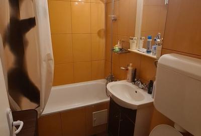 Apartament Drumul Taberei - Favorit - Sibiu - 10
