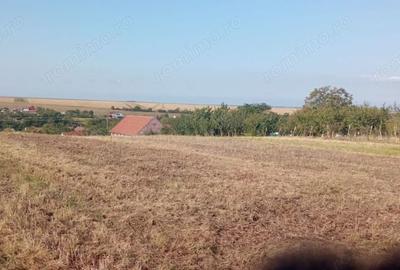 Teren de 2600 mp, în Silagiu - 2