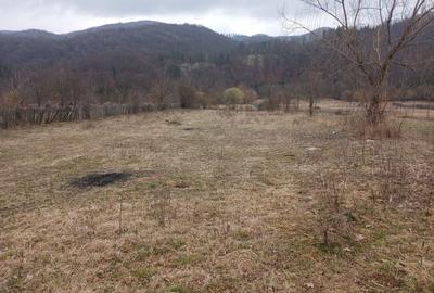 Teren de 2800 mp, în Dofteana - 1