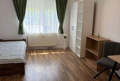 Garsonieră nedecomandată în Nufărul - 2