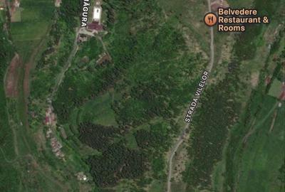 Spațiu comercial, în Zăpodea - 4