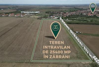 Teren de 25400 mp, în Zăbrani - 1