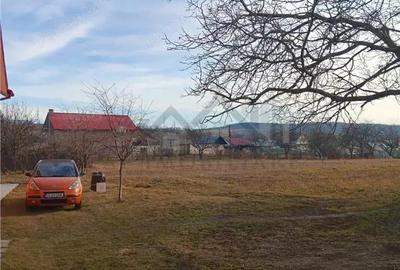 Teren de 3500 mp, în Păun - 5