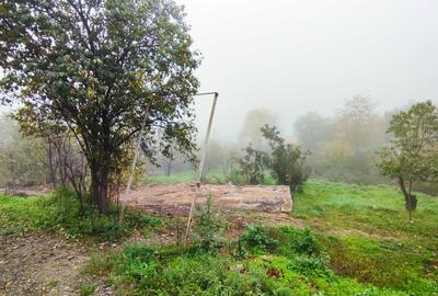 Spațiu comercial, în Podgoria