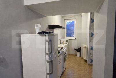 Apartament cu 3 camere decomandat, mobilat în Plopilor - 6