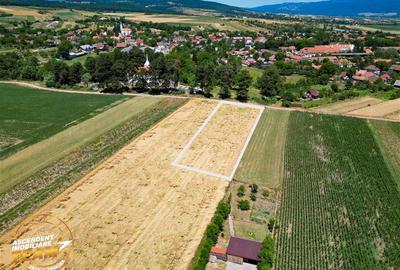 Teren agricol extravilan de 2268 mp, în Valea Crișului - 3