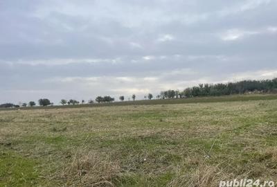 URGENT Casa + teren la balta utilitati la poarta fonduri UE Teleorman - 3