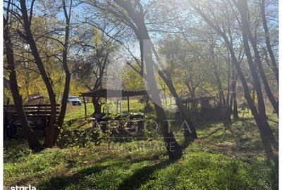 Teren de 3250 mp, în Cozieni - 4