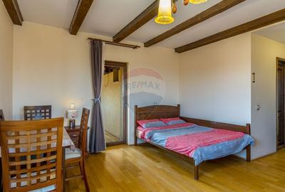 EXCLUSIV! Vila cu 7 camere, teren 7535mp, Risca, Comision 0% - 16