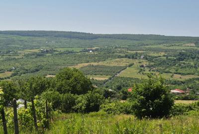 Spațiu comercial, în Tomești - 1