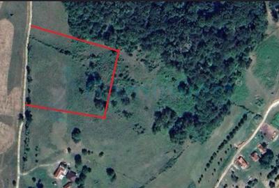 Teren de 6400 mp, în Șuncuiuș