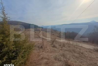 Teren de 12000 mp, în Stremț - 1