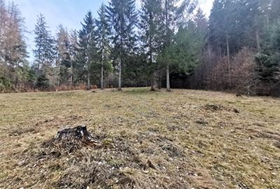 Teren intravilan 2000 mp în Vulcan BV – Oază de liniște între pădure și lacuri - 10