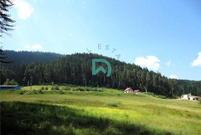 Teren Construcții intravilan de 1500 mp, în Poiana Angelescu - 6