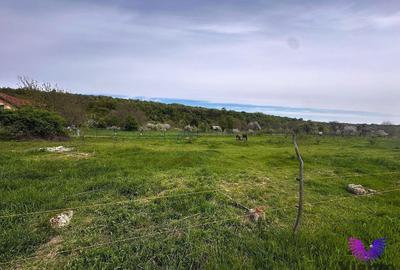 Teren Construcții intravilan de 550 mp, în Sibiel - 4