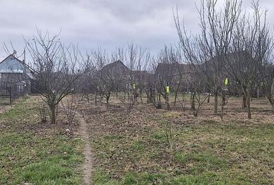 Casă cu 2 camere în Bogei - 5
