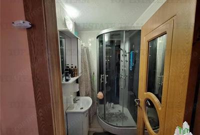 Apartament cu 2 camere semidecomandat, mobilat în Viziru 3 - 3