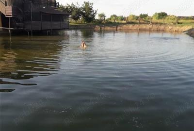 Spațiu comercial, în Central - 10