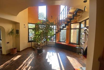 Proprietar - Casă deosebită de vanzare/închiriere Dumbrăvița, jud Timis - 5