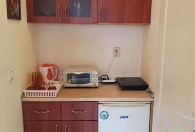 Apartament pe Calea Bogdanasilor de inchiriat - 6